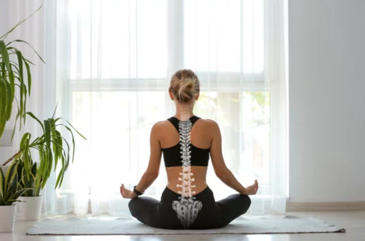 Posture and Alignment: The Role of Physiotherapy in Promoting Optimal Health