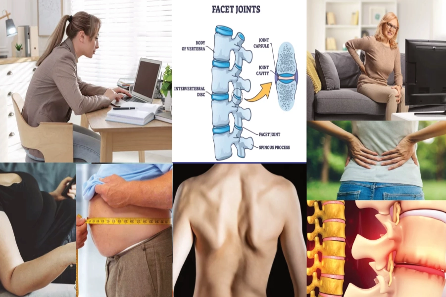 Causes Of Back Pain